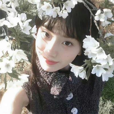 幕后枭雄第二季